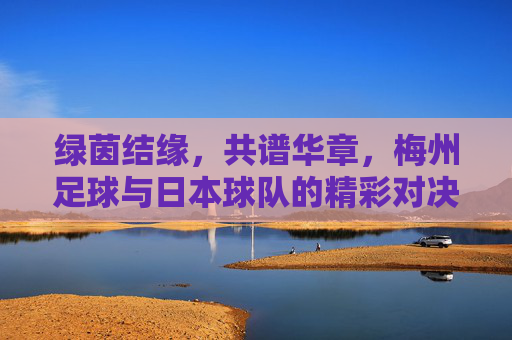 绿茵结缘，共谱华章，梅州足球与日本球队的精彩对决