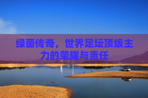 绿茵传奇,世界足坛顶级主力的荣耀与责任