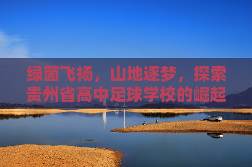 绿茵飞扬,山地逐梦,探索贵州省高中足球学校的崛起之路