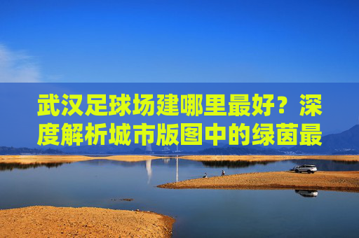 武汉足球场建哪里最好?深度解析城市版图中的绿茵最佳落点