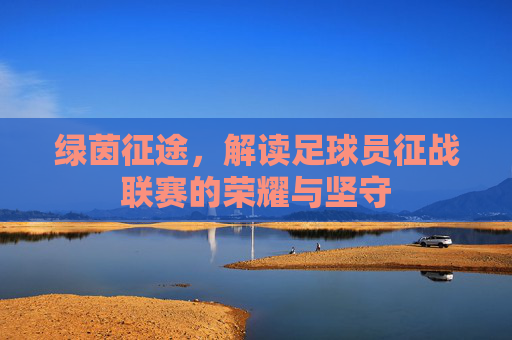 绿茵征途,解读足球员征战联赛的荣耀与坚守