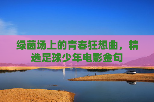 绿茵场上的青春狂想曲，精选足球少年电影金句