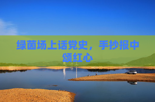 绿茵场上话党史,手抄报中颂红心