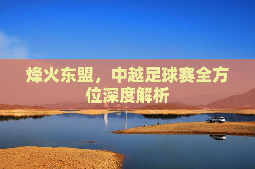 烽火东盟,中越足球赛全方位深度解析