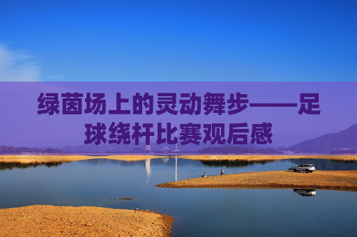 绿茵场上的灵动舞步——足球绕杆比赛观后感