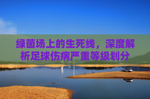 绿茵场上的生死线，深度解析足球伤病严重等级划分