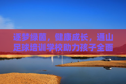逐梦绿茵，健康成长，通山足球培训学校助力孩子全面发展