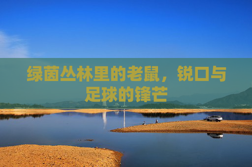 绿茵丛林里的老鼠,锐口与足球的锋芒
