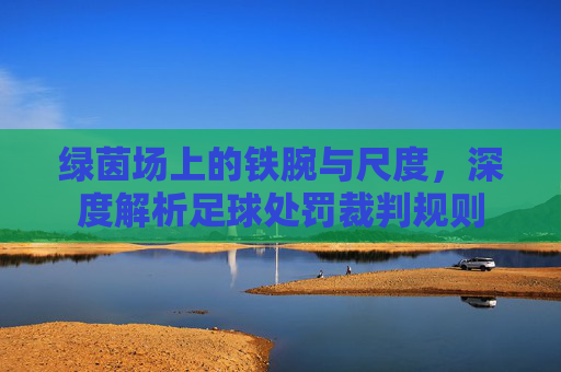 绿茵场上的铁腕与尺度,深度解析足球处罚裁判规则