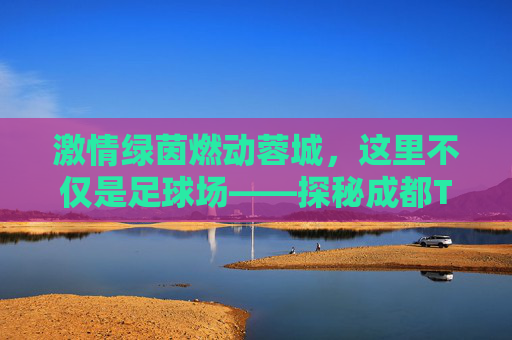 激情绿茵燃动蓉城,这里不仅是足球场——探秘成都T98足球公园