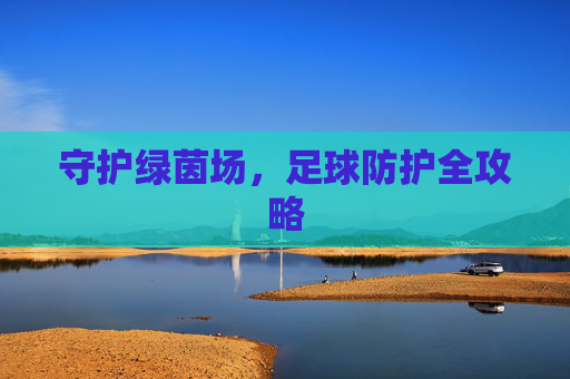 守护绿茵场，足球防护全攻略