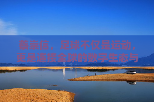 蔡崇信，足球不仅是运动，更是连接全球的数字生态与情感纽带