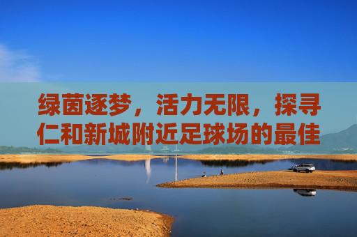 绿茵逐梦,活力无限,探寻仁和新城附近足球场的最佳去处