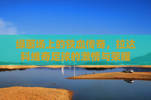 绿茵场上的铁血传奇,拉达科维奇足球的激情与荣耀