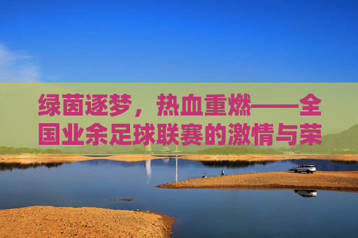 绿茵逐梦,热血重燃——全国业余足球联赛的激情与荣耀