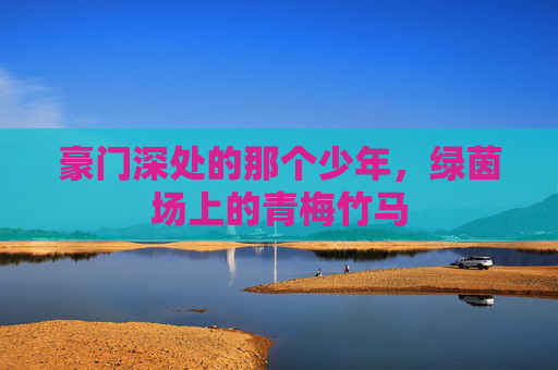 豪门深处的那个少年,绿茵场上的青梅竹马