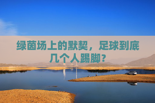 绿茵场上的默契,足球到底几个人踢脚?