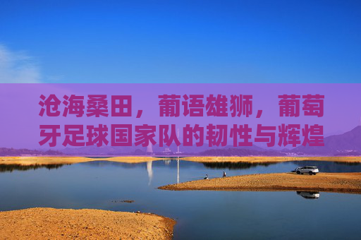 沧海桑田,葡语雄狮,葡萄牙足球国家队的韧性与辉煌
