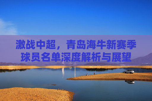 激战中超，青岛海牛新赛季球员名单深度解析与展望