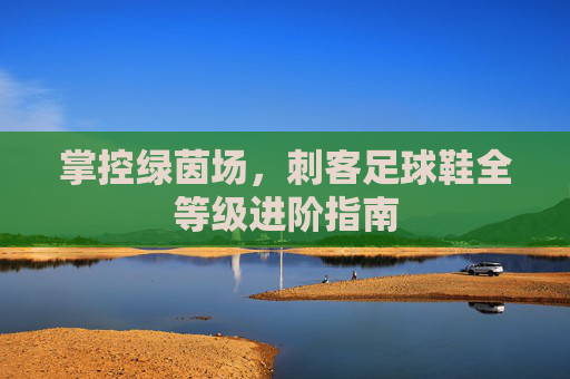 掌控绿茵场,刺客足球鞋全等级进阶指南
