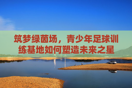 筑梦绿茵场,青少年足球训练基地如何塑造未来之星