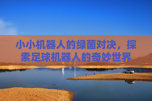 小小机器人的绿茵对决,探索足球机器人的奇妙世界