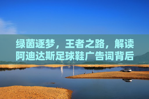 绿茵逐梦，王者之路，解读阿迪达斯足球鞋广告词背后的热血与科技