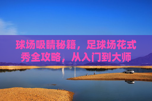 球场吸睛秘籍，足球场花式秀全攻略，从入门到大师