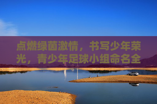 点燃绿茵激情，书写少年荣光，青少年足球小组命名全攻略