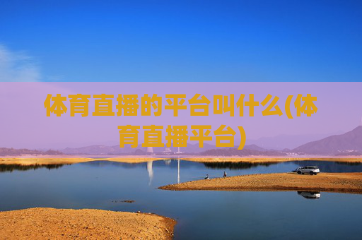 体育直播的平台叫什么(体育直播平台)