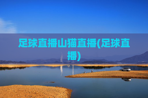 足球直播山猫直播(足球直播)