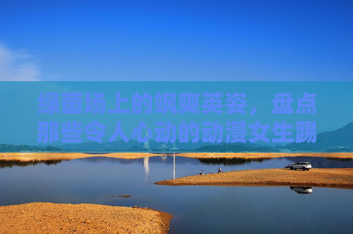 绿茵场上的飒爽英姿，盘点那些令人心动的动漫女生踢足球图
