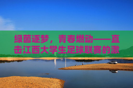 绿茵逐梦，青春燃动——直击江西大学生足球联赛的激情时刻