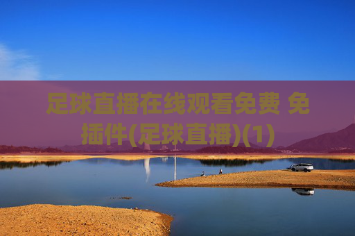 足球直播在线观看免费 免插件(足球直播)(1)