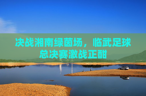 决战湘南绿茵场，临武足球总决赛激战正酣