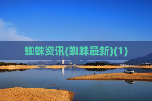 蜘蛛资讯(蜘蛛最新)(1)
