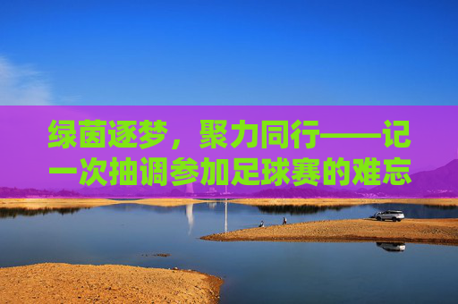 绿茵逐梦,聚力同行——记一次抽调参加足球赛的难忘经历