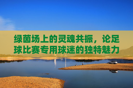 绿茵场上的灵魂共振，论足球比赛专用球迷的独特魅力