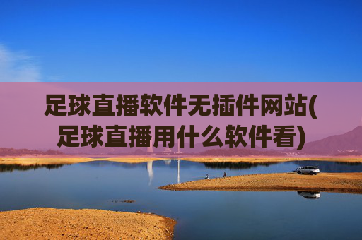 足球直播软件无插件网站(足球直播用什么软件看)