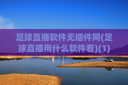 足球直播软件无插件网(足球直播用什么软件看)(1)