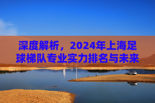 深度解析,2024年上海足球梯队专业实力排名与未来展望