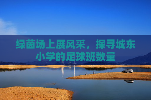绿茵场上展风采,探寻城东小学的足球班数量