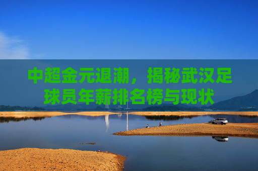中超金元退潮，揭秘武汉足球员年薪排名榜与现状