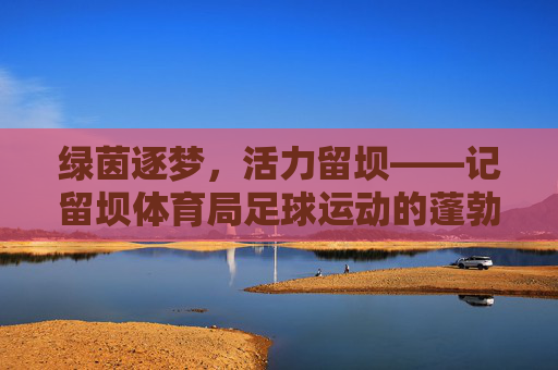 绿茵逐梦,活力留坝——记留坝体育局足球运动的蓬勃发展