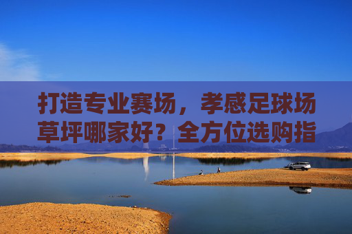 打造专业赛场,孝感足球场草坪哪家好?全方位选购指南