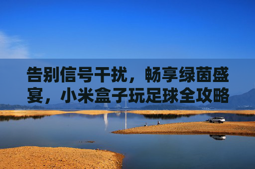 告别信号干扰，畅享绿茵盛宴，小米盒子玩足球全攻略