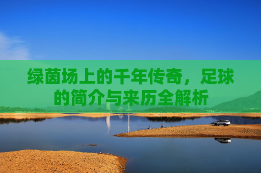 绿茵场上的千年传奇,足球的简介与来历全解析