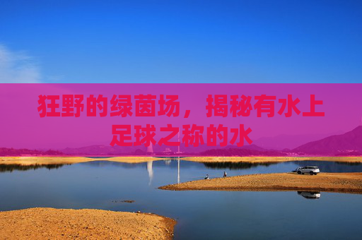 狂野的绿茵场,揭秘有水上足球之称的水