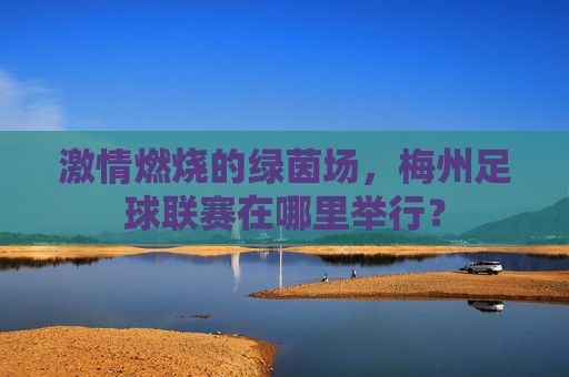 激情燃烧的绿茵场,梅州足球联赛在哪里举行?