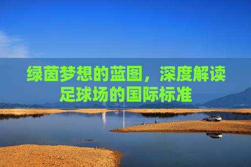 绿茵梦想的蓝图,深度解读足球场的国际标准